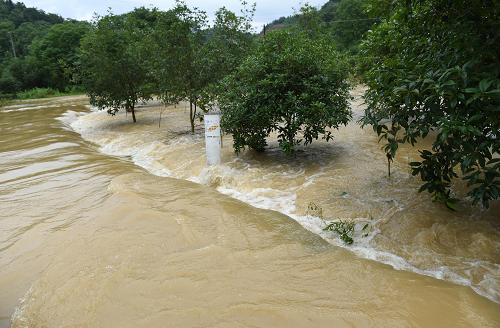 广东、广西等24省份洪涝灾害已造成852万人次受灾