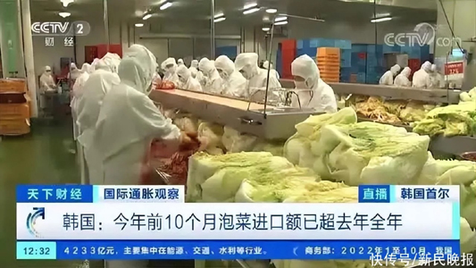 <b>中国泡菜在韩国卖爆了！盛产泡菜的国家，为何</b>