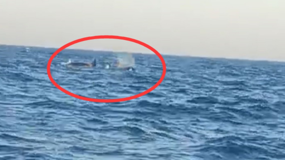 <b>三头巨型海兽浮出辽宁海域，视频拍下壮观一幕</b>