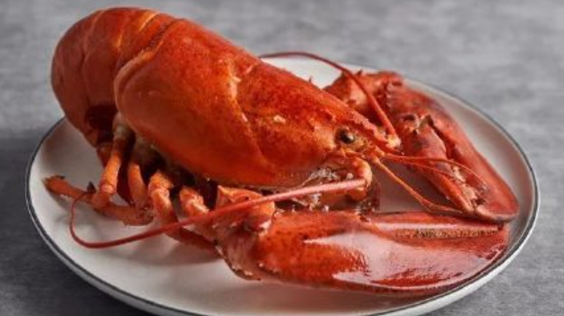 <b>英国拟禁止煮食龙虾螃蟹等活物</b>