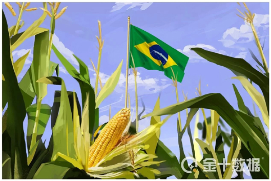 <b>还有20万吨，中国采购的巴西玉米将陆续到货！美</b>