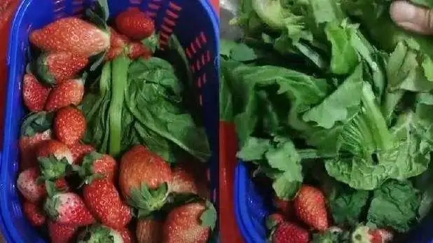 <b>120元买一篮草莓底部塞1斤菜叶</b>