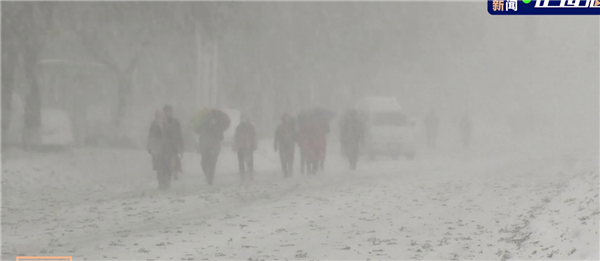 东北地区遭遇大暴雪 多地积雪深度已超35厘米：辽宁一农贸市场因强降雪坍塌