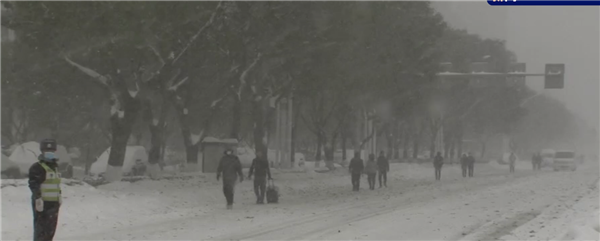 东北地区遭遇大暴雪 多地积雪深度已超35厘米：辽宁一农贸市场因强降雪坍塌