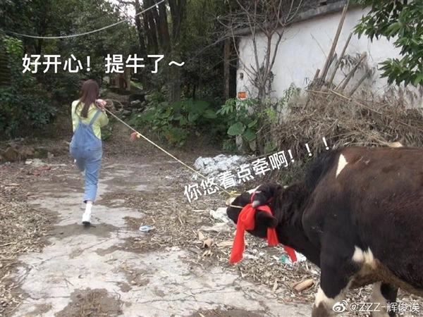 广东女生点奶茶中奖一头奶牛 去年点14万元外卖 网友：让你喝到饱
